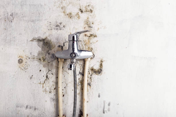 Best Commercial Mold Remediation in Corning, CA