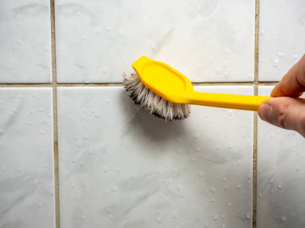 Best DIY Mold Remediation Support Services in Corning, CA
