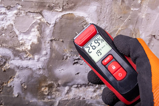 Corning, CA Mold Remediation Company